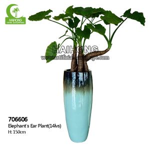 Wholesale High Simulation Natural Elephant's Ear Plant With Beautiful Pots from china suppliers