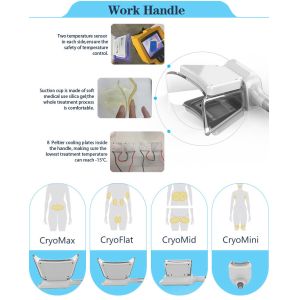 2018 Newly-released!!! The most featured Cryolipolysis Slimming Device four cryo