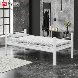 Student Dormitory Bed Single layer Iron Frame Bed
