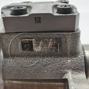 Ford DELPHI Diesel Fuel Injection Pump 5WS40699 A2C53344441 A2C96176300