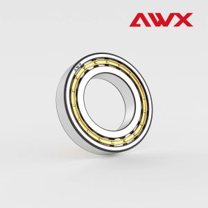 Single Row Cylindrical Roller Bearings Low Vibration NUP1000 NUP1006 NUP1007