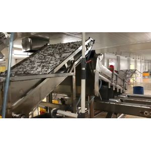 Seafood Processing Shrimp Grading Machine 6000x3200x2200mm Stable