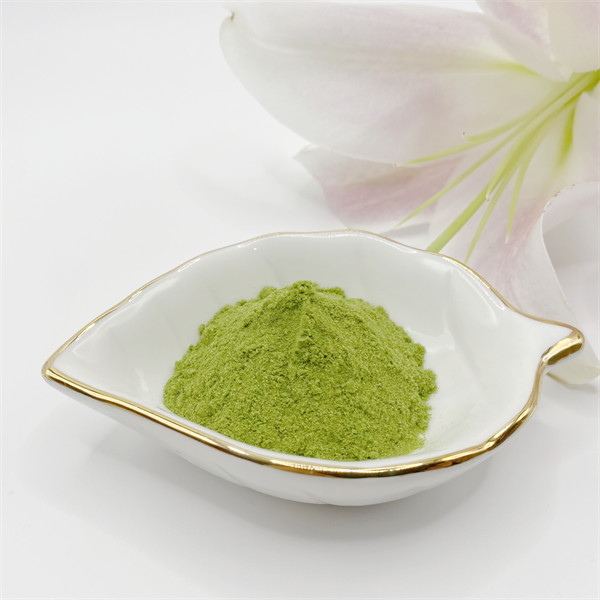 40% Seaweed Extract Green Powder