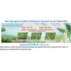 China prevent insects,tree planting,agriculture protection Plastic weed barrier,weed matt Bio-degradable Agricultural PP Weed on sale