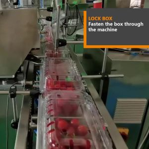 110BPM Clamshell Fresh Fruit Vegetable Packing Machine Cherries Strawberry Tray