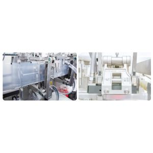 DXD-180D Automatic Horizontal Pouch Packing Machine 5-200g Roll Film Packaging