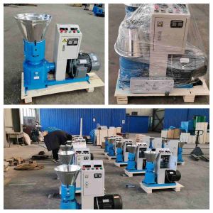 Flat Mold Cattle Feed Pellet Making Machine Pig Goat Animal Food Pellet Machine