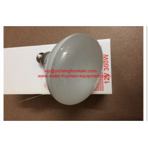E27 12V 300W Halogen Bulb Replacement For Underwater Swimming Pool Lights R125