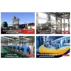 Industrial Apple Processing Line Multi-function Fruit Juice Processing Line With