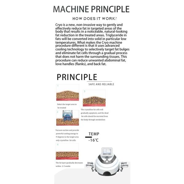 2 Cryo Handles Portable High Quality Cryo Machine for salon use body slimming