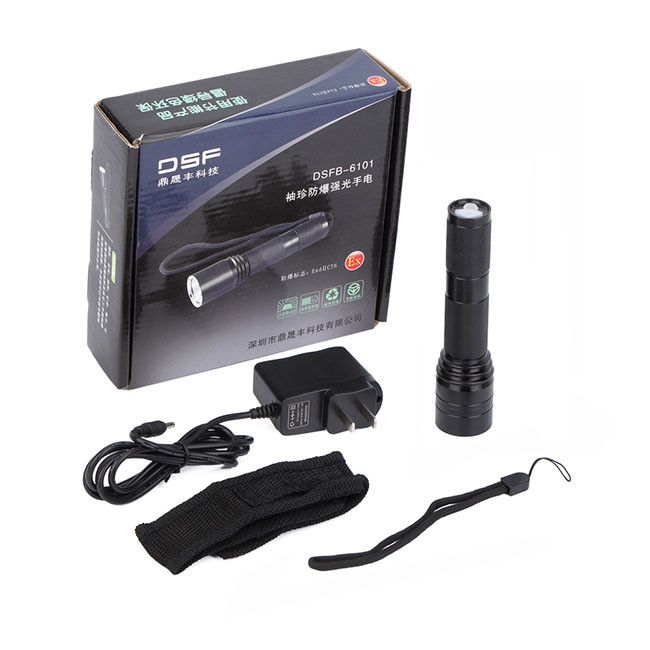 IP67 Explosionproof led flashlight 300LM explosionproof torch light with