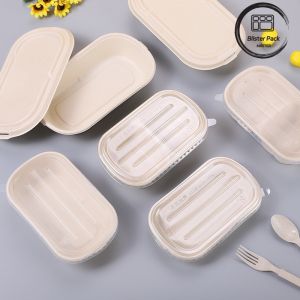 Take Away Lunch Recyclable Food Containers Biodegradable Sugarcane Bagasse