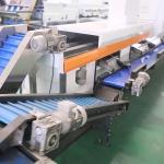 Unlocking Efficiency Revolutionizing Palm Dates Sorting Machine with Cutting