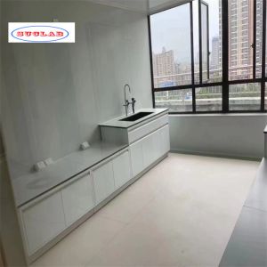 Standard Size Versatile Lab Furnitures Laboratory Casework for Various