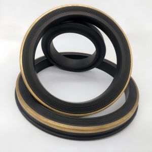 1'' 2'' 3'' 4'' Oil Resistance NBR HNBR FKM PTFE Hammer Union Seal Accept Custom