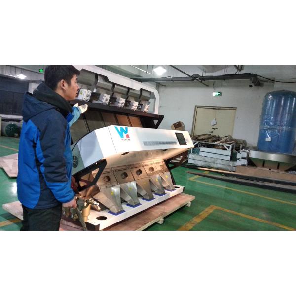 Best Dehydrated Chili Color Sorter Machine AI Sorting Machine Red Chili Color Sorter Belt Type Color Sorter