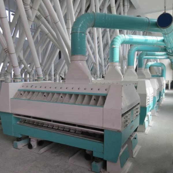 Wheat Flour Mills India 100000 KG Capacity Ideal for Commercial Maize Milling