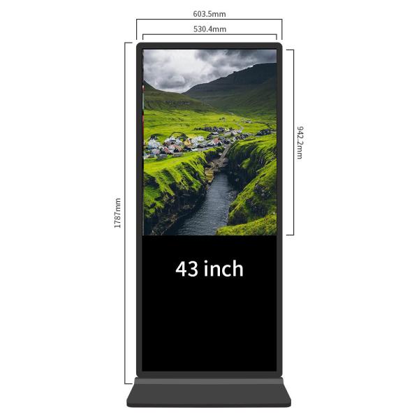 Quality Free Standing Digital Signage 55 Inch With Capacitive Touch Hd I5 Office Support for sale