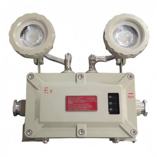 Quality Maintenance Free ATEX Explosion Proof Emergency Light for sale