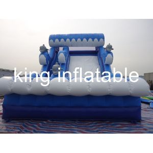 0.55mm PVC Tarpaulin Inflatable Dry Slide Blue / White Slide Attached For