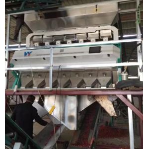 WenYao Big Capacity Color Sorting Machine Cloves Cardamom Cumin Pepper Seed