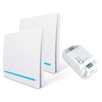 Learning Code Encoding Type Wireless Remote Switch with 2.4GWIFI Frequency