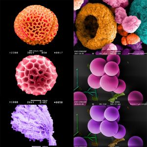 Controled Mouse Scanning Electron Microscope Sem 8x~800000x Magnification