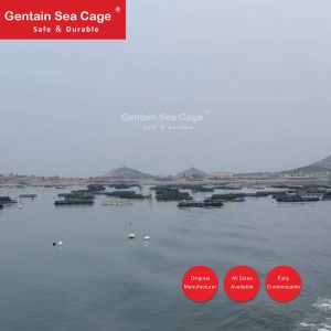 High Flexibility Fishing Trap Net Cage , Hdpe Fish Cage Corrosion Resistance