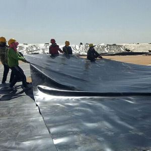 Landfill Aquaculture Geomembrane Tank for Artificial Lakes Length 50m-100m or