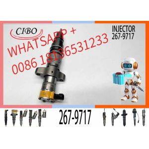 267-9717 Oem Fuel Injectors 267-3360 254-4339 387-9434 For C7 Engine