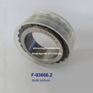 Wholesale F-93666.2 Gearbox Bearings Hydraulic Pump Bearings Cylindrical Roller Bearings 36x56.3x20mm from china suppliers