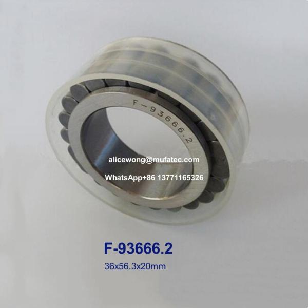 F-93666.2 Gearbox Bearings Hydraulic Pump Bearings Cylindrical Roller Bearings 36x56.3x20mm