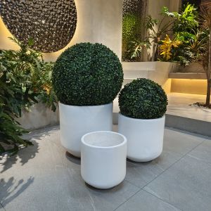 Wholesale Real Plant Display With Fiber Clay Planters Decoration