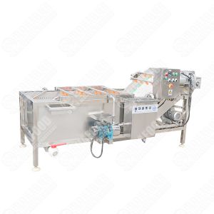 Ce Certified Potato Washing And Sorting Machine Iso