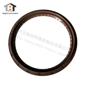 OEM 0734319459 FPM Rubber Grease Oil Seal For ZF Transmission 105*125*12mm