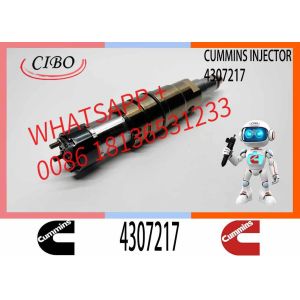 ZQYM Factory Fuel Injector Assembly CRDI 2872544 2872405 2894920 4307217 5491721