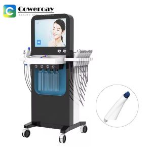 13 In 1 Facial Cleaning Equipment Hydro Microdermation Massager Machine