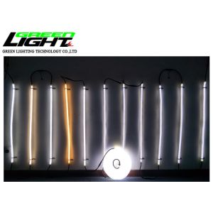 SMD5050 17W 24V 60 Leds 85lum Led Flex Rope Light