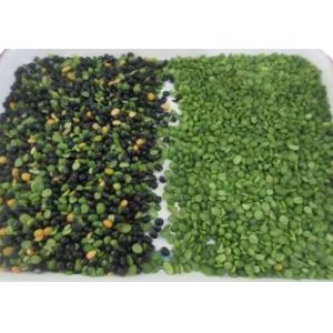 Wenyao Full Automatic 2-6 T/h CCD Camera Color Sorter , Color Selecting Machine