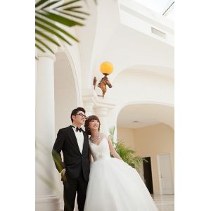 PLASTIC LENTICULAR customized plastic material 3d lenticular wedding photo with