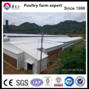 EPS Insulated Chicken Farm House with Aluminum Alloy Windows