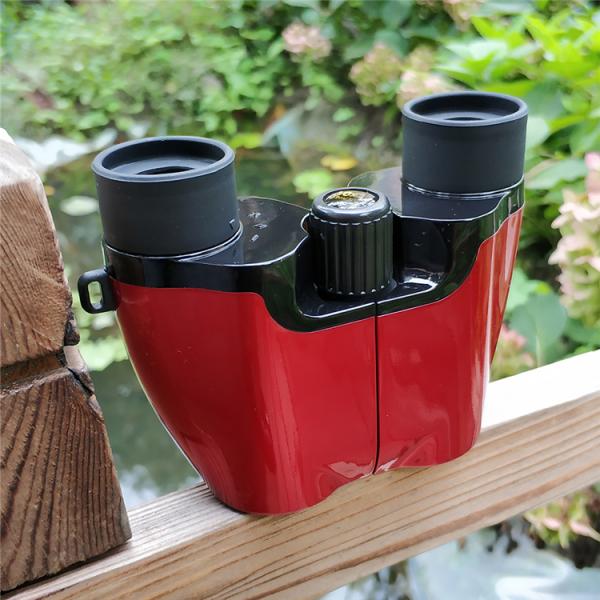 Binoculars 10x22 8x22, Fast Delivery, Bird Watching, With Bracelet