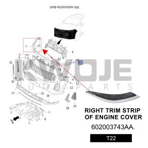 OEM 602003743AA Auto Spare Parts right Trim Strip Of Engine Cover For Exeed RX