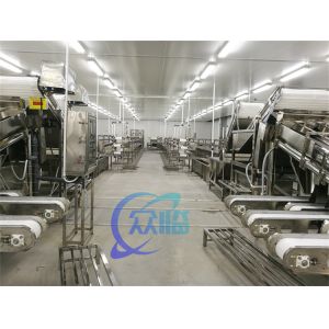 Fully automatic multi-functional fish and shrimp sorting and grading machine