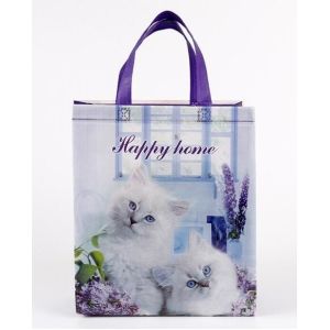 Wholesale Custom Promotional shopping tote fabric polypropylene laminated pp non woven bag, Wholesale high promotion laminated rec from china suppliers