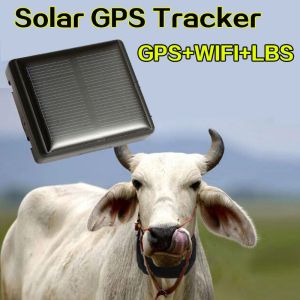 Mini Solar Animal Gps Tracker , Real Time Animal Tracking Device For Cattle
