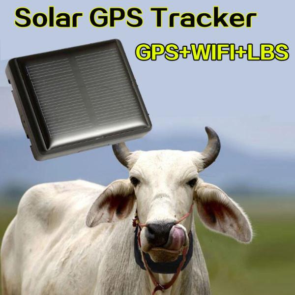 Mini Solar Animal Gps Tracker , Real Time Animal Tracking Device For Cattle