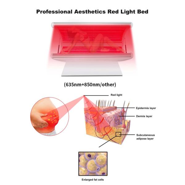 Photodynamic PDT Red Light Collagen Bed For Body Sculpting