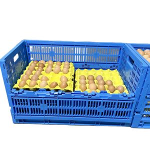 PE/PP Mesh Style Collapsible Egg Crate Moving Tote Box for Eggs Storage and