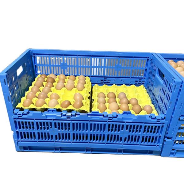 Farm Storage Solution PP Egg Plastic Crate with 8/12/14 Trays Mesh Box Style